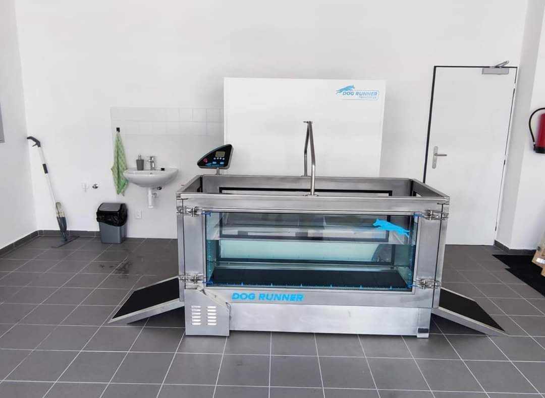 Canine underwater best sale treadmill for sale