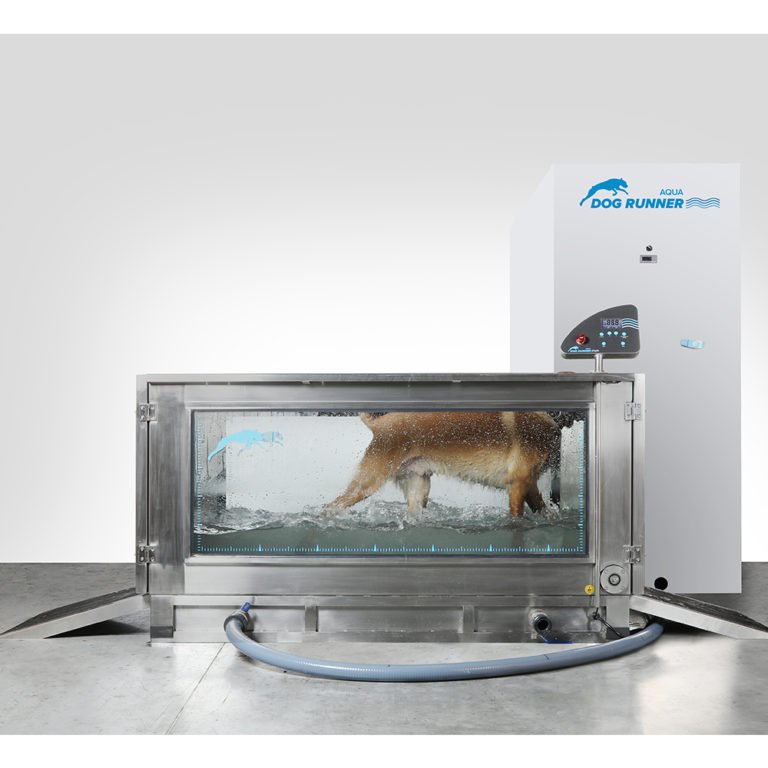 Dog Runner The ideal treadmill for dogs!