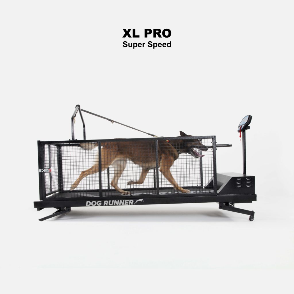 Hondenloopband voor grote honden, loopband